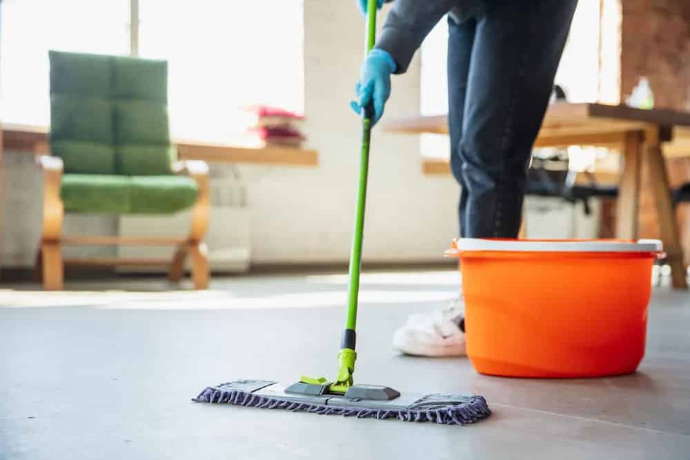 House Cleaning image